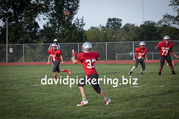 DPP_7413-68