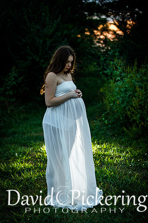 DPP_8272-100