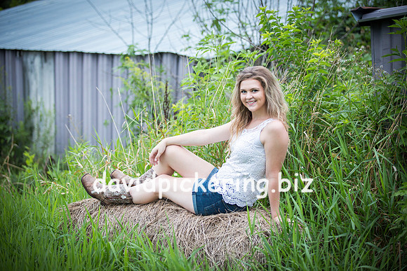 DPP_4253-80