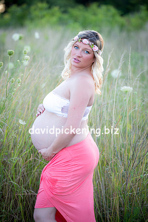 DPP_1839-105