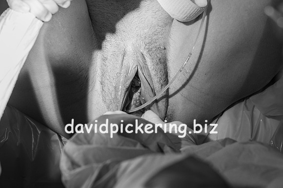 DPP_9515-32