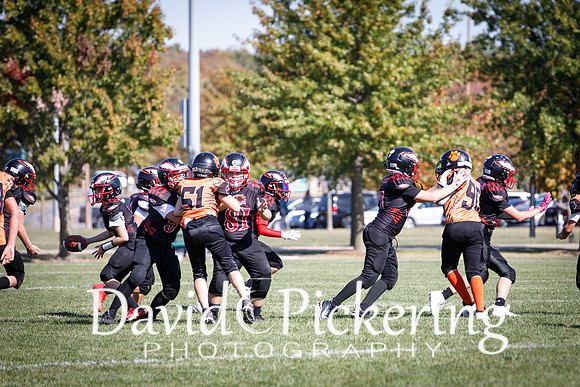 DPP_3018-87