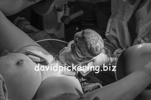 DPP_9614-52