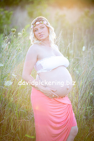 DPP_1831-98