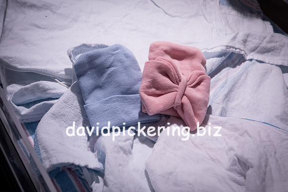 DPP_9522-33