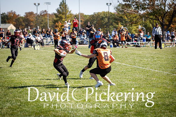 DPP_3203-105