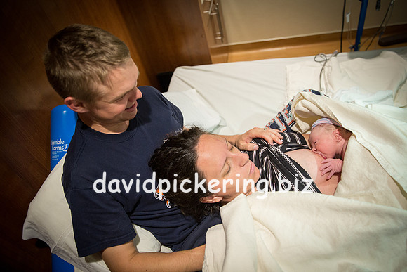 DPP_6571-268
