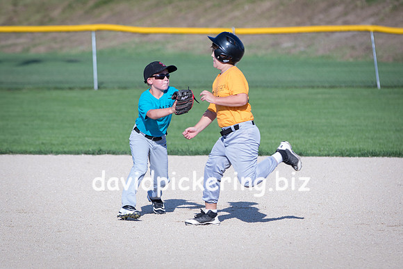 DPP_6119-34