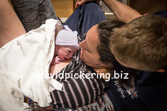 DPP_6461-221