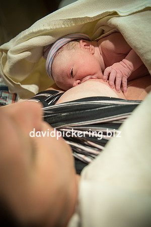 DPP_6565-267