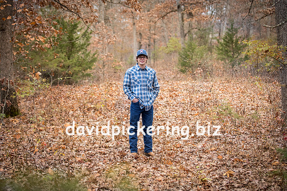 DPP_0976-156