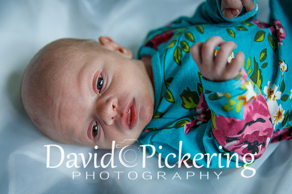DPP_4610-59