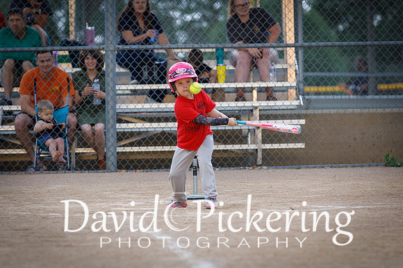 DPP_1131-24