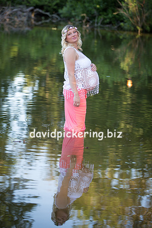 DPP_1732-29