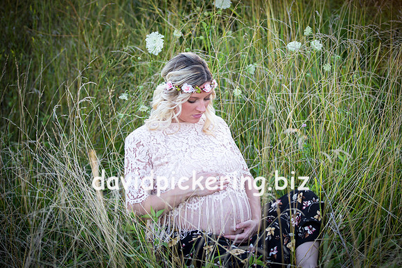 DPP_1799-73