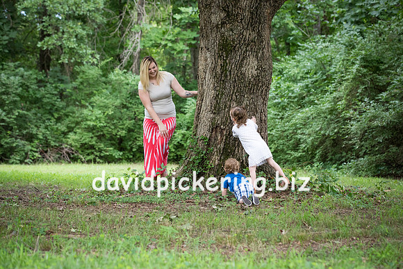 DPP_5910-100