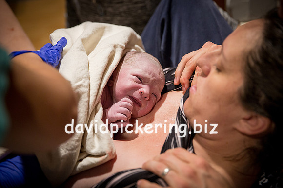 DPP_6429-203