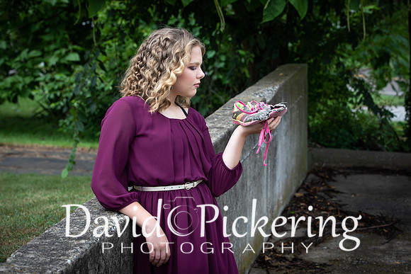 DPP_3083-13