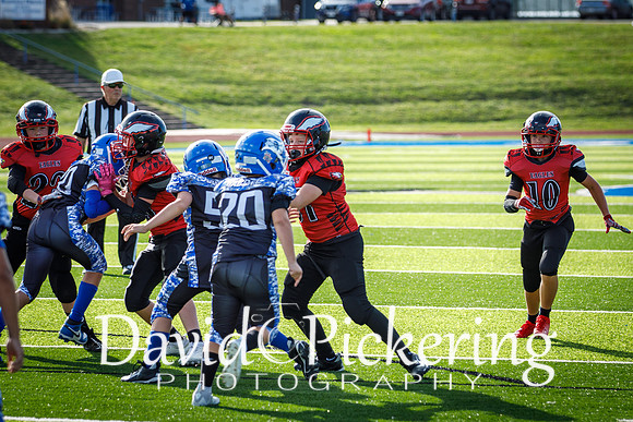 DPP_9032-53