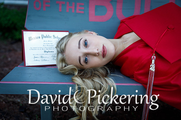 DPP_0495-47
