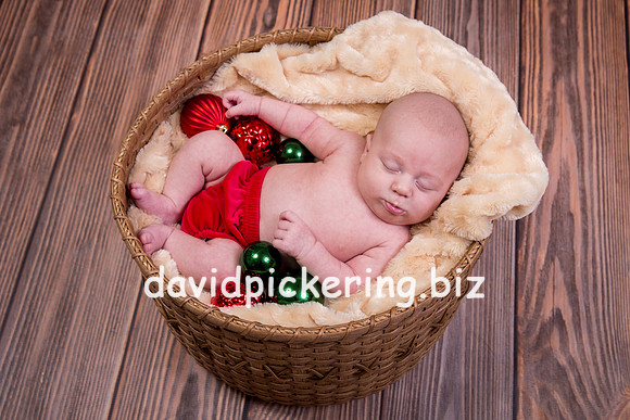 DPP_0160-17