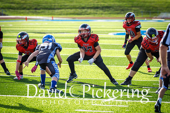 DPP_9028-51
