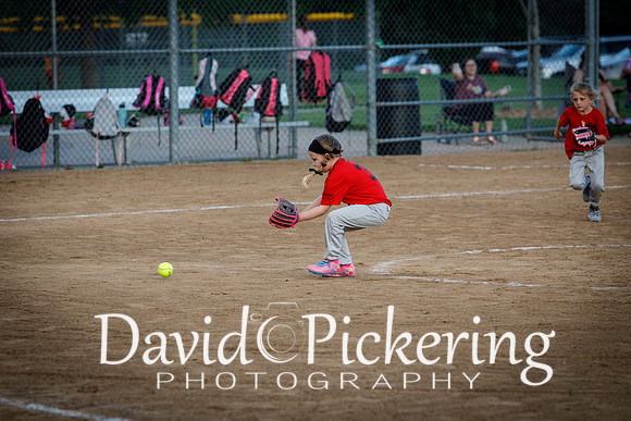 DPP_9865-38