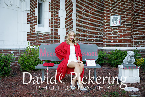 DPP_0431-36
