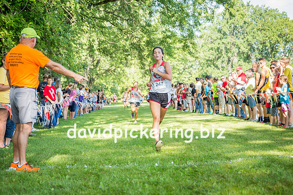 DPP_8044-28