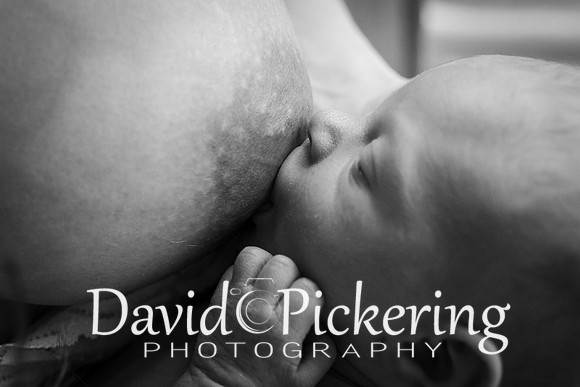 DPP_4474-38