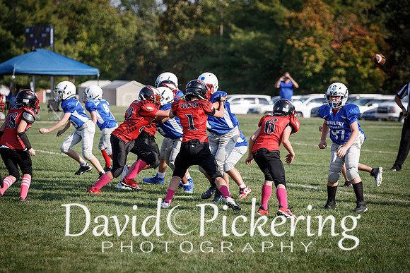 DPP_1352-2
