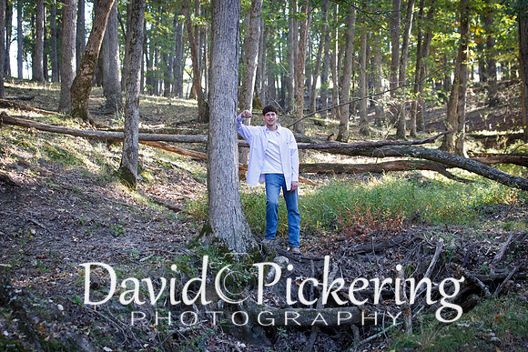 DPP_0801-31
