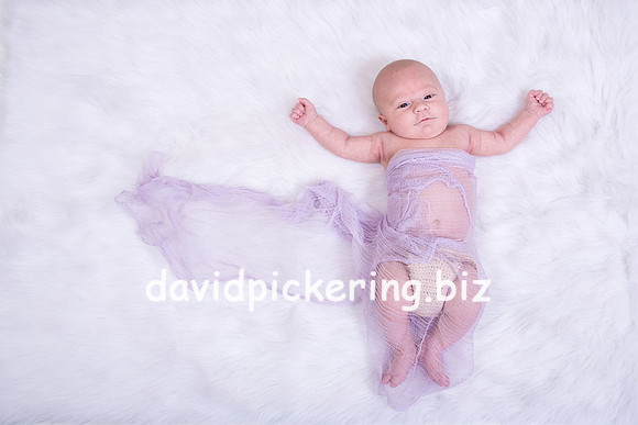 DPP_0138-5
