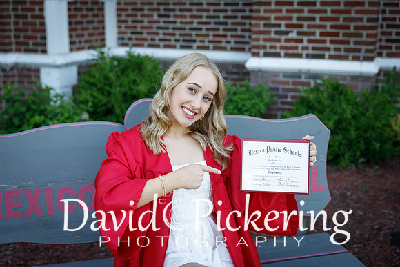DPP_0466-44