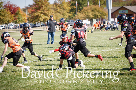 DPP_2983-81