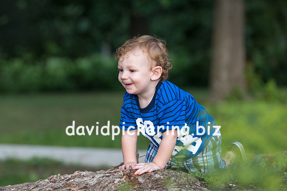 DPP_6008-132