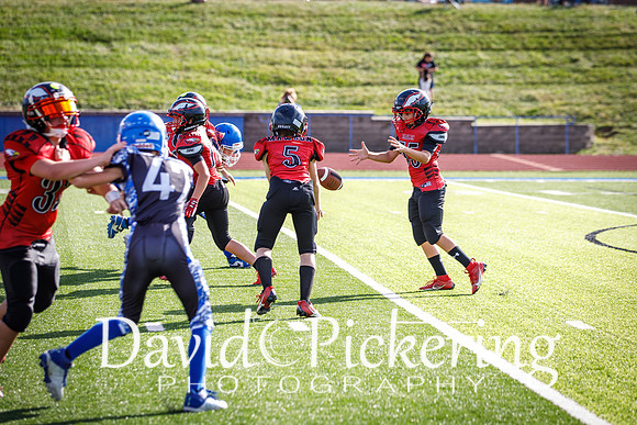 DPP_8957-37