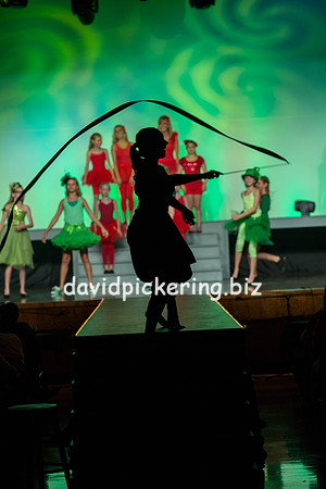 DPP_1895-365