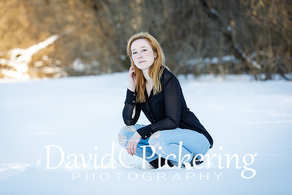 DPP_2176-21