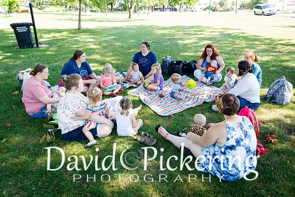 DPP_5247-6