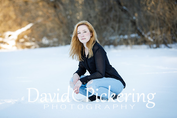 DPP_2173-20