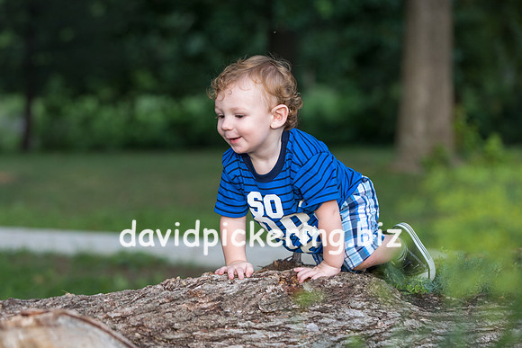 DPP_6010-133