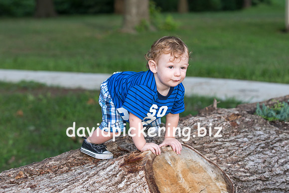 DPP_6013-134