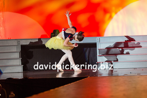 DPP_1481-161
