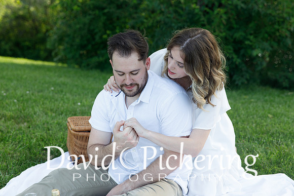 DPP_1099-29