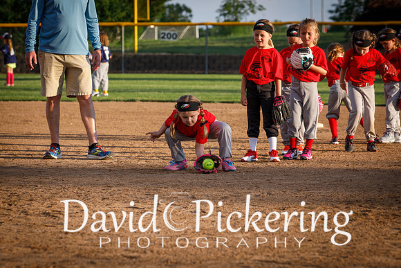DPP_9732-10