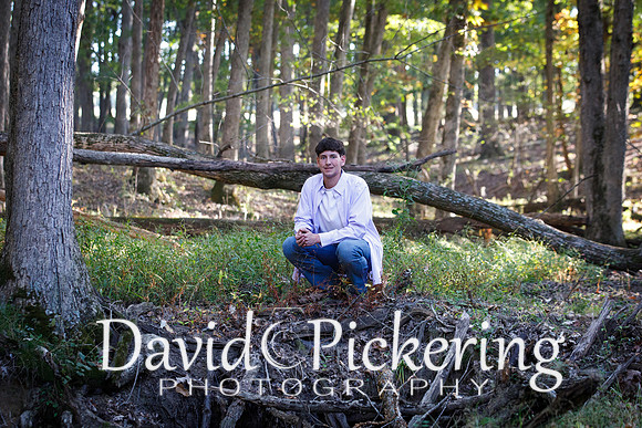 DPP_0804-33