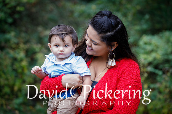 DPP_2396-13