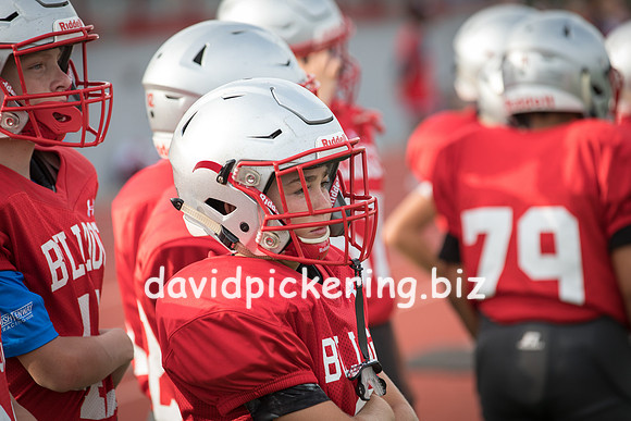 DPP_7276-28