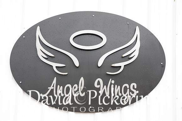 DPP_3058-6